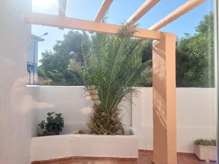 Apartamento Piscina, Wifi, Patio Con Vistas Tarifa Exterior foto