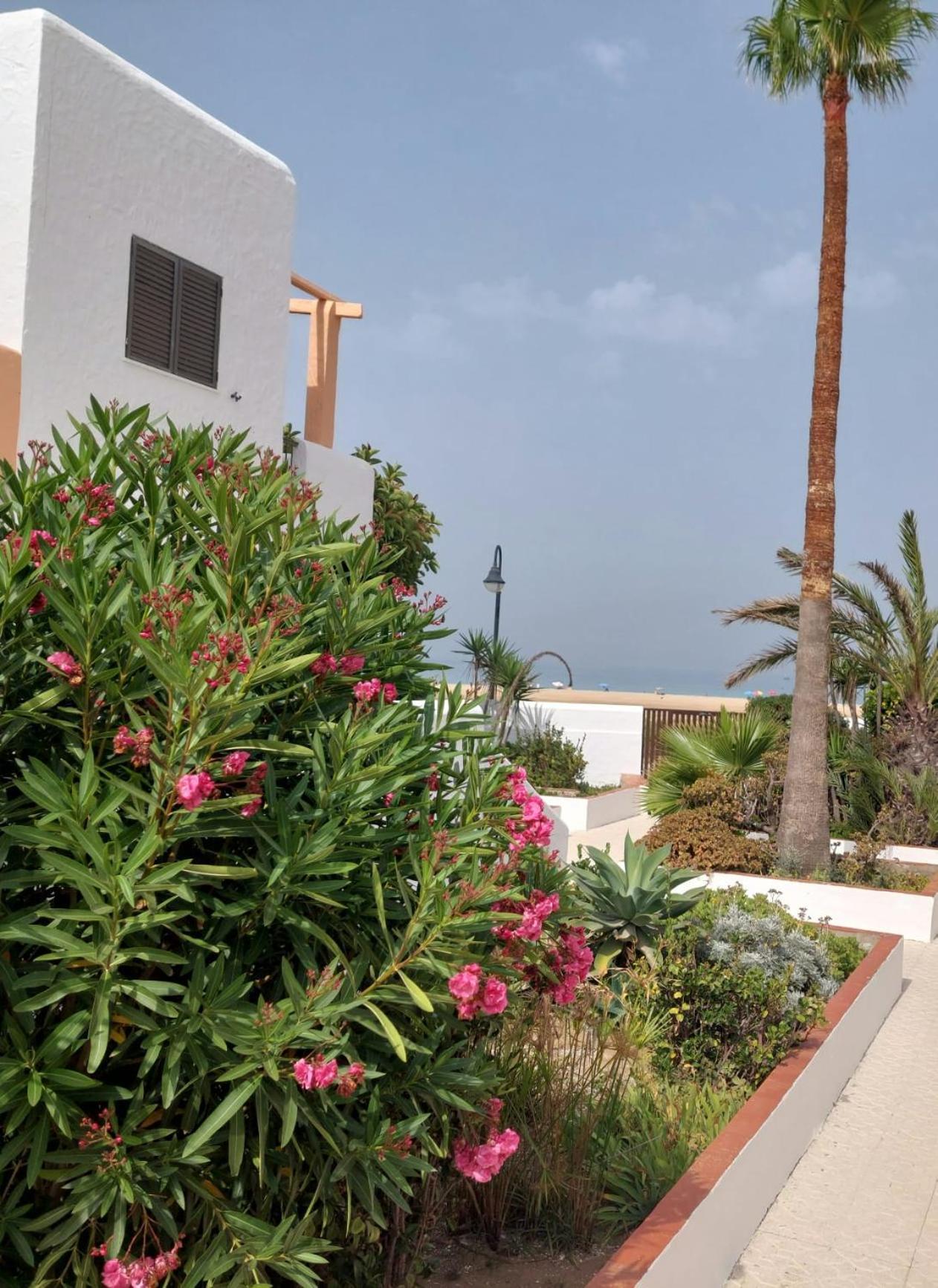 Apartamento Piscina, Wifi, Patio Con Vistas Tarifa Exterior foto